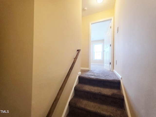 650 Ganyard Farm Way Unit 41, Durham, NC 27703 - photo 27