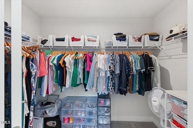 260 Amber Acorn Ave, Raleigh, NC 27603 - walk in closet with carpet flooring