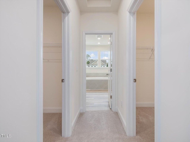 hall with baseboards and carpet