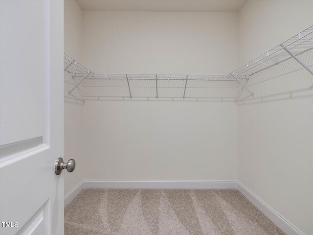 spacious closet with carpet flooring