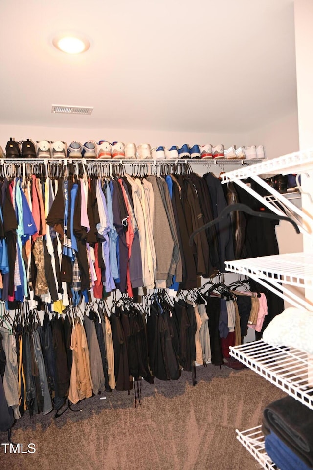 474 Ashpole Trl, Clayton, NC 27520 - spacious closet featuring carpet flooring