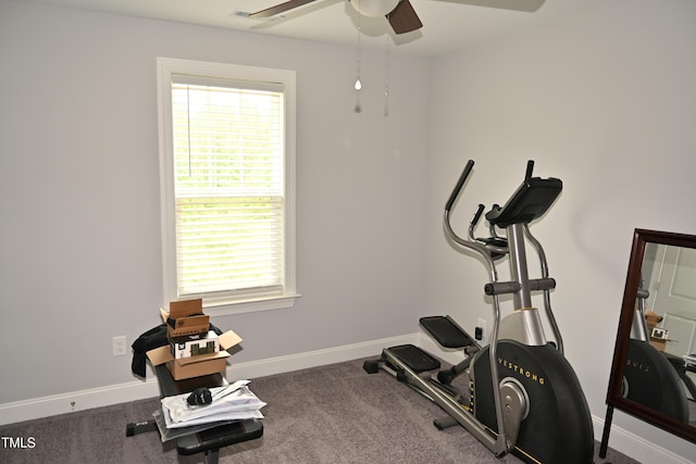 474 Ashpole Trl, Clayton, NC 27520 - workout area featuring ceiling fan, plenty of natural light, baseboards, and carpet