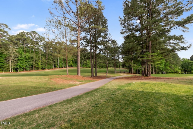 17 Nicklaus Way, Clayton, NC 27520 - view of property's community with a yard