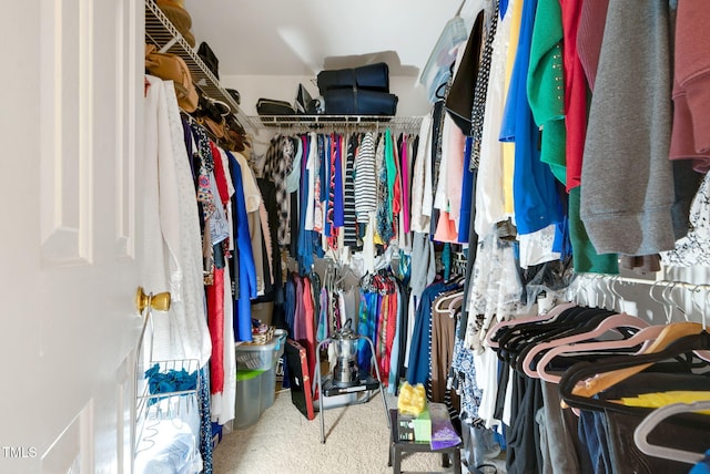 17 Nicklaus Way, Clayton, NC 27520 - walk in closet featuring carpet