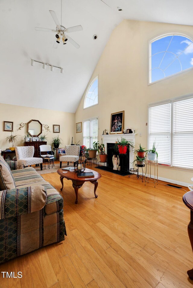 17 Nicklaus Way, Clayton, NC 27520 - living area with track lighting, a fireplace, light wood-style floors, high vaulted ceiling, and a ceiling fan