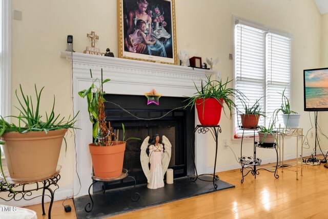 17 Nicklaus Way, Clayton, NC 27520 - details with baseboards, a fireplace, and wood finished floors