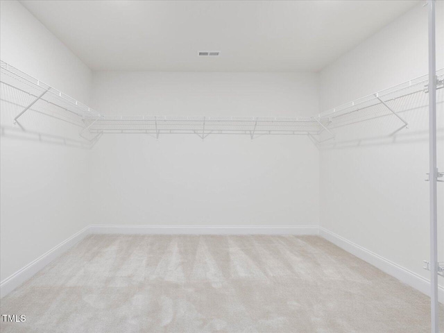 33 Celtic Ln, Lillington, NC 27546 - walk in closet featuring carpet floors