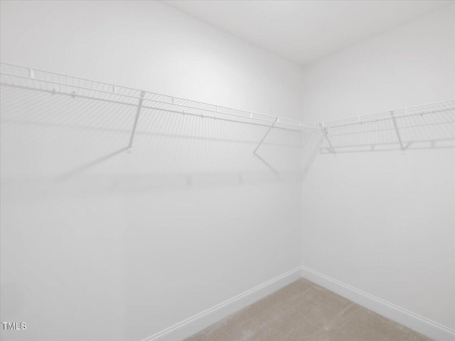 33 Celtic Ln, Lillington, NC 27546 - spacious closet with carpet floors