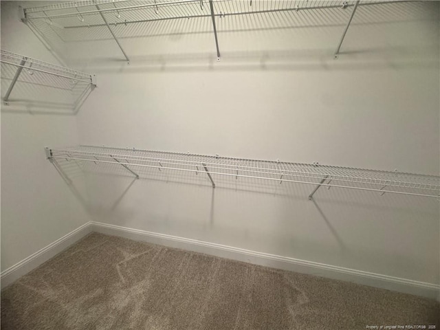374 Whitestone Dr, Fayetteville, NC 28312 - walk in closet with carpet