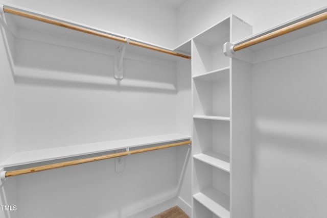 401 N Raiford St, Selma, NC 27576 - view of spacious closet