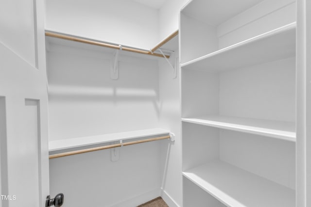 405 N Raiford St, Selma, NC 27576 - view of spacious closet