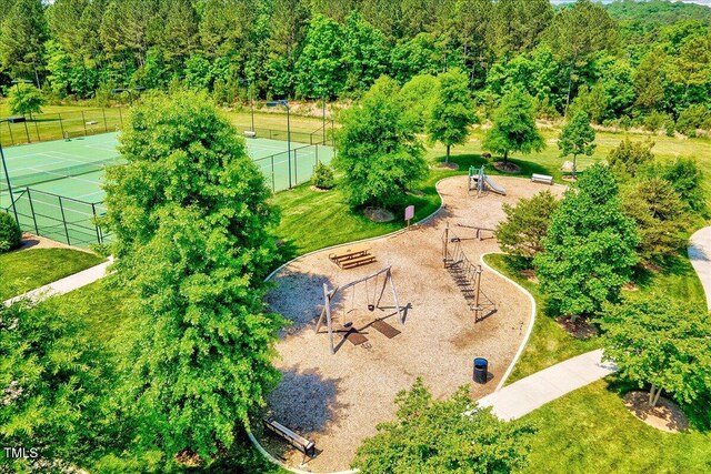 bird's eye view