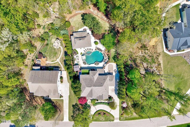bird's eye view