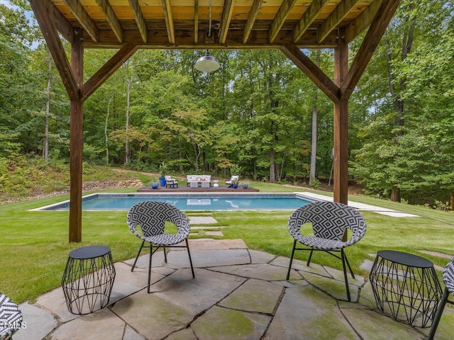 view of patio / terrace with an outdoor pool