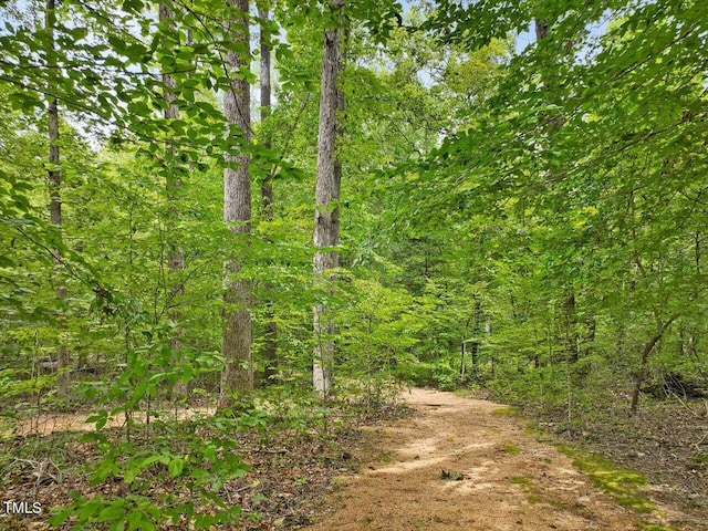 view of nature featuring a forest view
