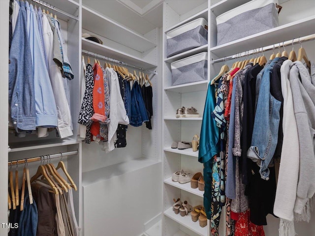 view of walk in closet