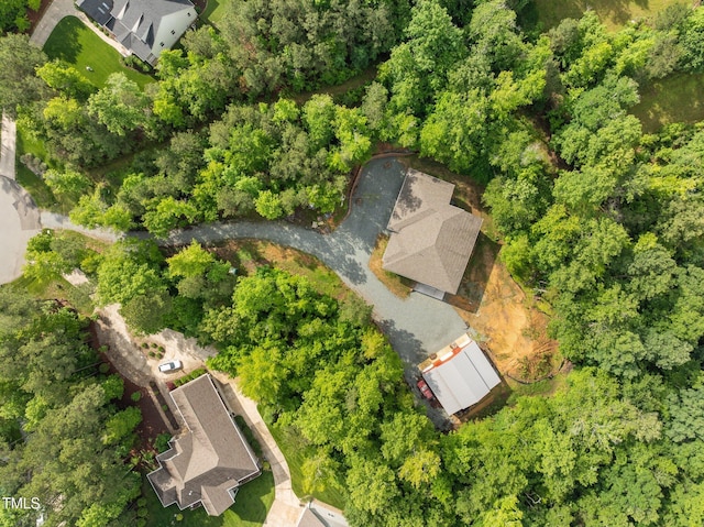 bird's eye view