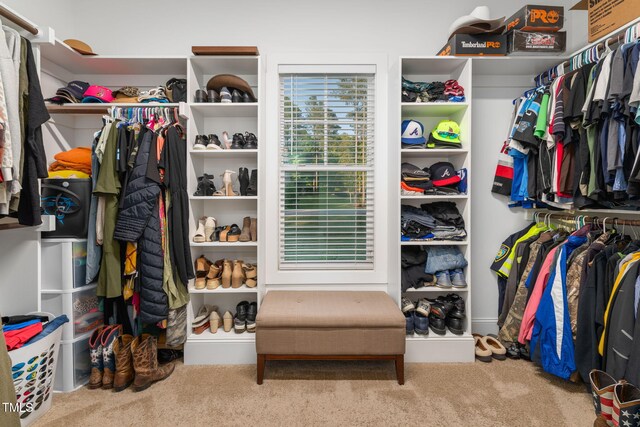 175 Lockamy Ln, Youngsville, NC 27596 - spacious closet with carpet