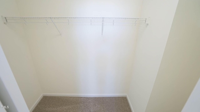 4024 Claret Ln, Morrisville, NC 27560 - walk in closet with carpet