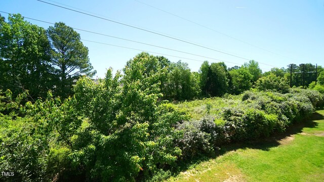 4024 Claret Ln, Morrisville, NC 27560 - view of local wilderness