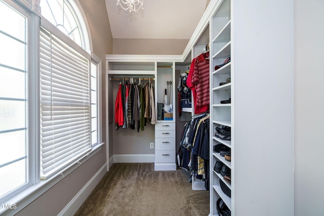 walk in closet with an inviting chandelier and carpet