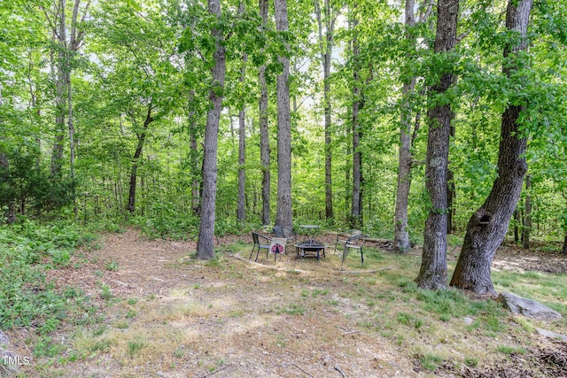 1176 Stoney Mountain Rd, Rougemont, NC 27572 - view of yard featuring an outdoor fire pit