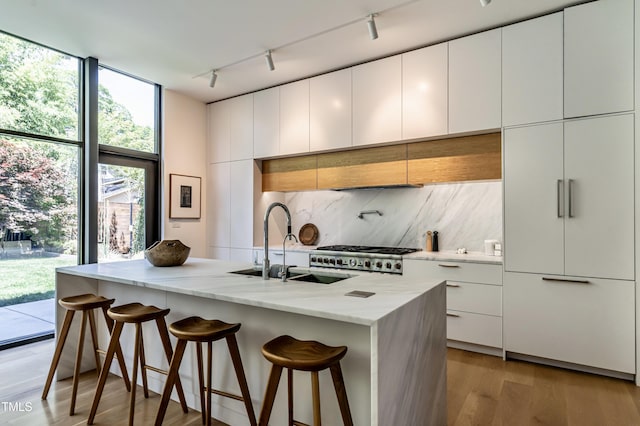 kitchen featuring a sink, track lighting, light wood-type flooring, modern cabinets, and decorative backsplash
