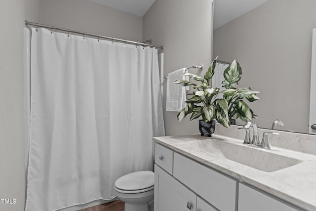 bathroom with vanity, toilet, curtained shower, and wood finished floors
