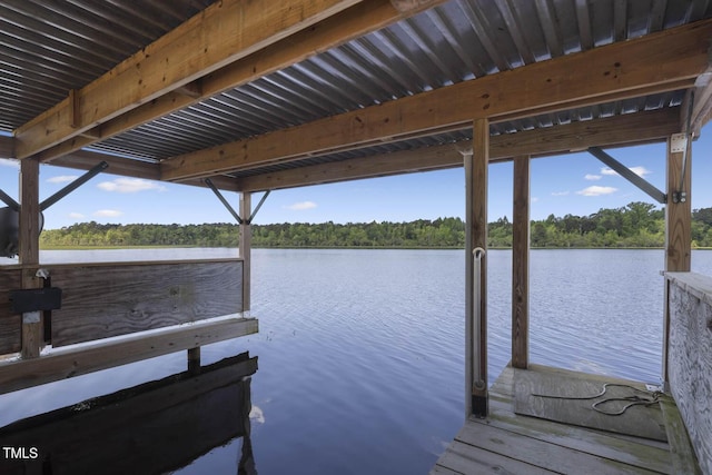 dock with a water view