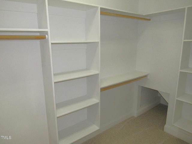 view of walk in closet