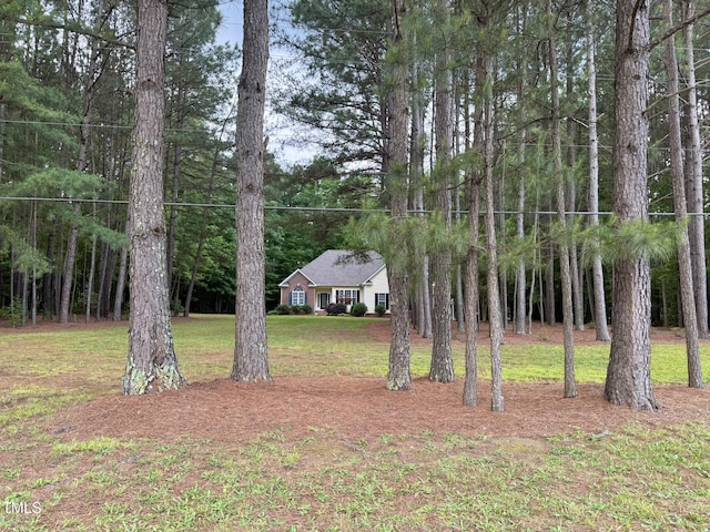 6673 NC-96 Hwy W, Youngsville, NC 27596 - photo 42