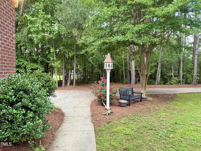 6673 NC-96 Hwy W, Youngsville, NC 27596 - photo 41