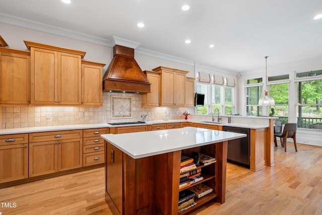 kitchen featuring plenty of natural light, custom exhaust hood, a sink, and dishwasher
