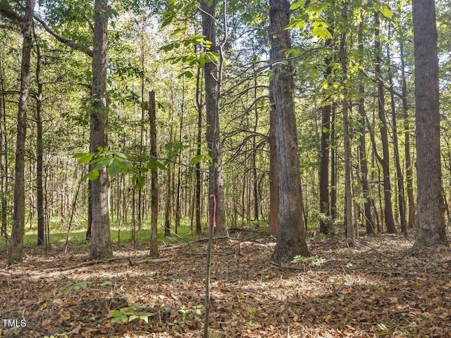 281 Karen Calhoun Rd, Pittsboro, NC 27312