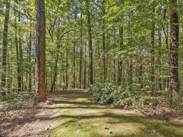281 Karen Calhoun Rd, Pittsboro, NC 27312