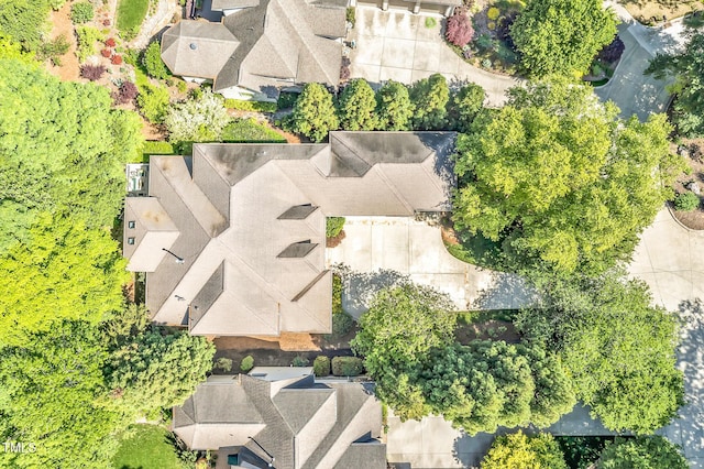 bird's eye view