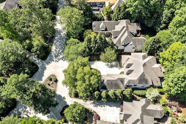 bird's eye view