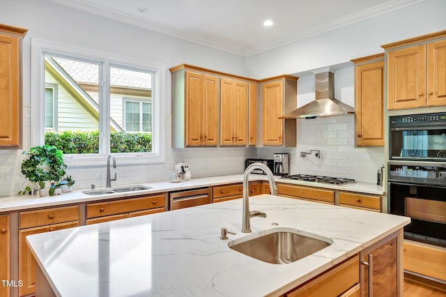 kitchen with backsplash, appliances with stainless steel finishes, a sink, and wall chimney exhaust hood