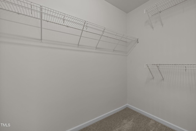 spacious closet with carpet
