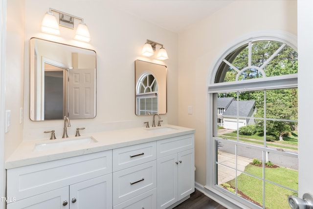 full bathroom featuring double vanity and wood finished floors