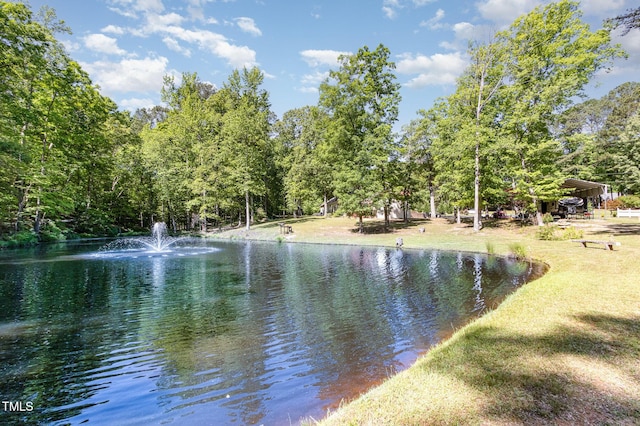 view of water feature