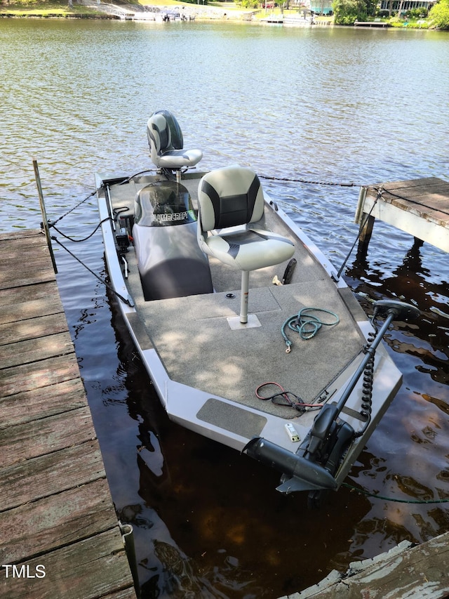 dock area with a water view