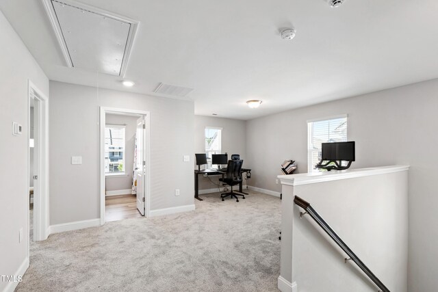147 Antler Steel Dr, Clayton, NC 27527 - carpeted home office with a healthy amount of sunlight, baseboards, attic access, and visible vents