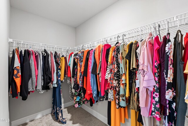 147 Antler Steel Dr, Clayton, NC 27527 - walk in closet with carpet flooring
