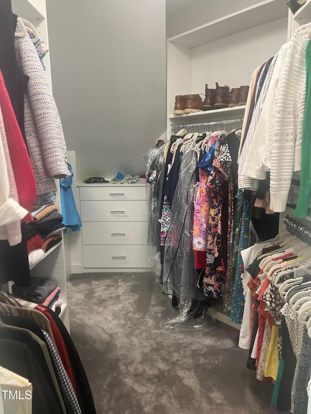 8729 Valentine Ct, Raleigh, NC 27613 - spacious closet with carpet flooring