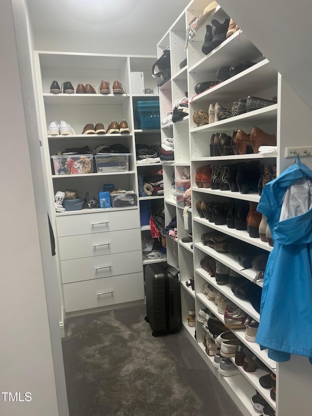 8729 Valentine Ct, Raleigh, NC 27613 - walk in closet with dark colored carpet