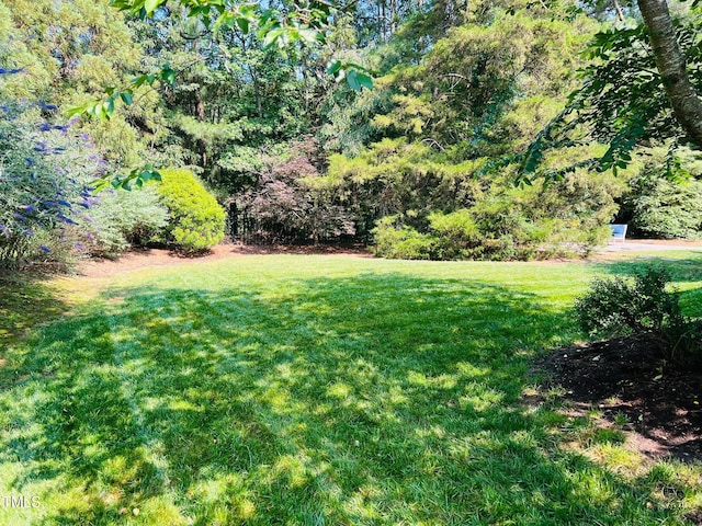 8729 Valentine Ct, Raleigh, NC 27613 - view of green lawn