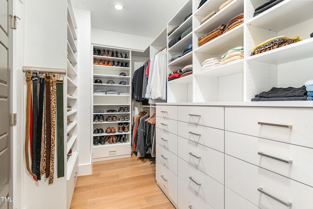 spacious closet featuring light wood-style floors