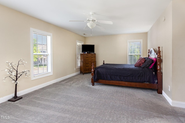 bedroom with carpet floors, multiple windows, and baseboards