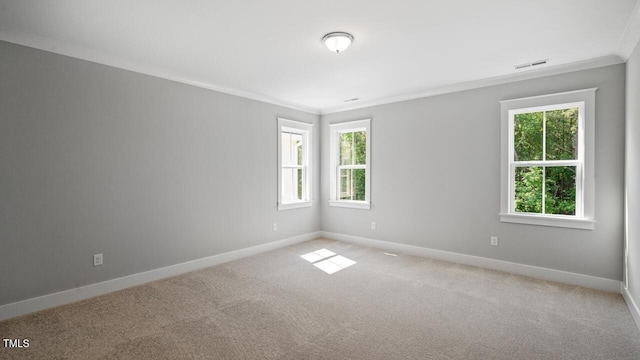 1733 Birdhaven Ln Lot 2217, Wendell, NC 27591 - unfurnished room with crown molding and light carpet